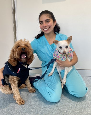 capitalvet staff member Lorena.