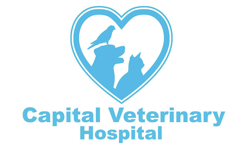 Capital Veterinary Hospital